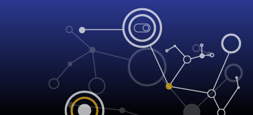 Network